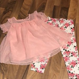 Healthtex toddler girl outfit set